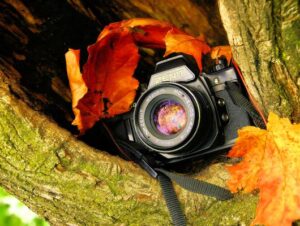 huong dan chup anh chuyen nghiep anh sang va hieu ung anh sang 4