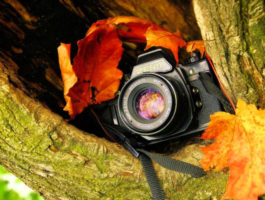 huong dan chup anh chuyen nghiep anh sang va hieu ung anh sang 4