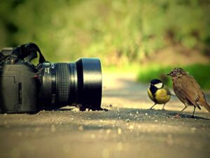 huong dan chup anh chuyen nghiep tieu cu 6