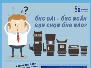 infographic chon ong kinh theo tieu cu