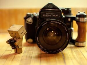 nhung loai bo cuc vang trong nhiep anh 18