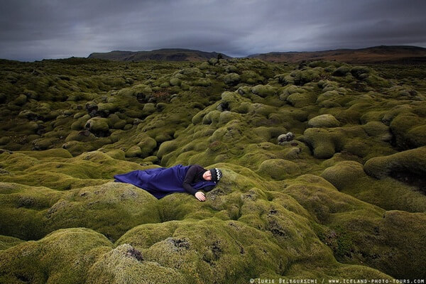 Được nằm ngủ trên những bãi thảm phủ rêu xanh phủ kín mít thế này thật yên bình (Ảnh: Iurie Belegurschi)