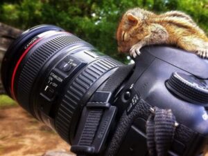 nhung buc anh dep ve thien nhien nam 2016 19