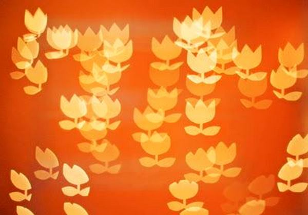 16 thủ thuật chưa bao giờ lỗi thời trong nhiếp ảnh (Phần 2) 64 16 thu thuat chua bao gio loi thoi trong nhiep anh phan 2 27 1