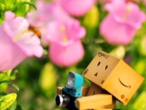 mua may anh choi tet ban se lam nhung gi 16