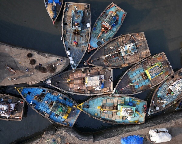 Sassoon Dock, Mumbai, Ấn Độ