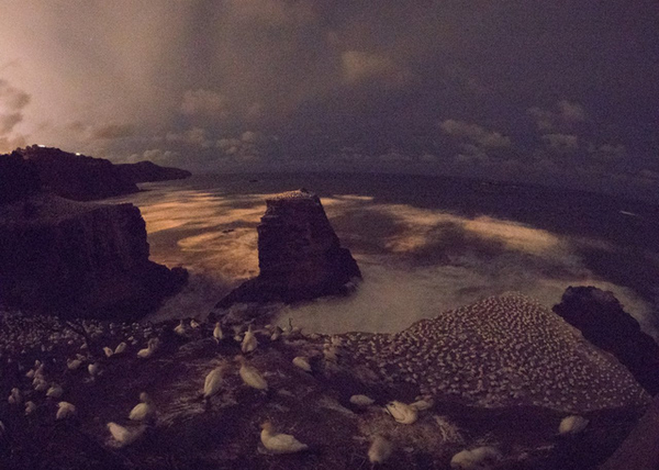 Lý do sử dụng máy ảnh có dải ISO siêu cao 6 ly su dung may anh co dai iso sieu cao 1 1