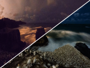 ly su dung may anh co dai iso sieu cao 3