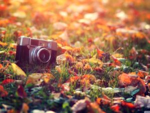 meo chup anh binh minh hoang hon 11