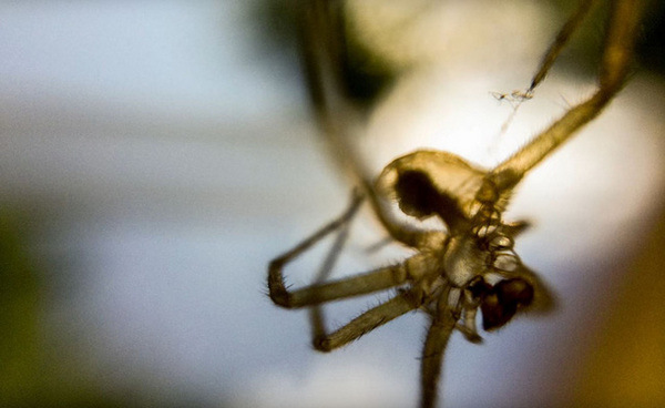 6 meo chup anh thu vi khi cam iphone 7 2