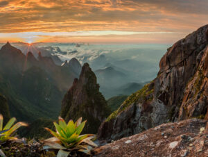 chiem nguong nhung tam anh dep ngay ngat tu cuoc thi sony world photography awards 2017 33 2