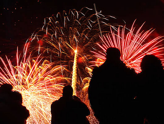 meo hay de chup anh phao hoa dep 1 1