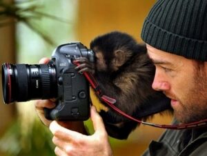 su khac nhau giua may anh gia va nhiep anh gia 3 2