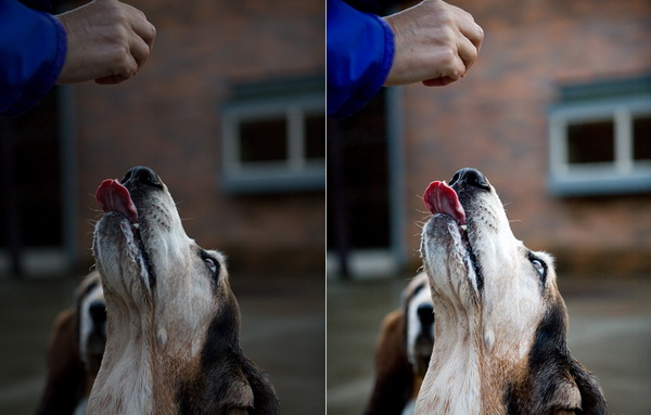 10 lý do bạn nên chụp ảnh định dạng RAW 8 10 ly ban nen chup anh dinh dang raw 1 3