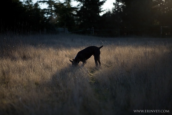 10 lý do bạn nên chụp ảnh định dạng RAW 11 10 ly ban nen chup anh dinh dang raw 3 2
