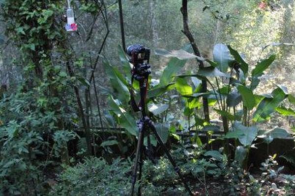 Cách dùng chức năng Wifi của máy ảnh canon 36 cach dung chuc nang wifi cua may anh canon 11 1