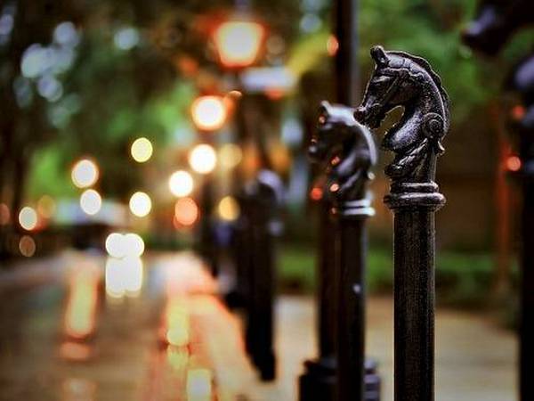 Kỹ thuật chụp ảnh làm mờ hậu cảnh nhằm thu hút sự chú ý của người xem vào chủ thể.