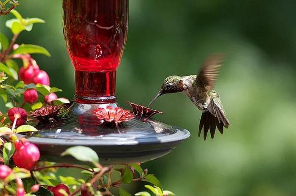 Một số ống kính có bokeh đặc biệt mà bạn nên biết 63 mot ong kinh co bokeh dac biet ma ban nen biet 3 1