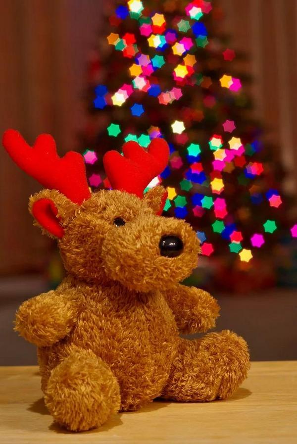 Một số ống kính có bokeh đặc biệt mà bạn nên biết 102 mot ong kinh co bokeh dac biet ma ban nen biet 42 1