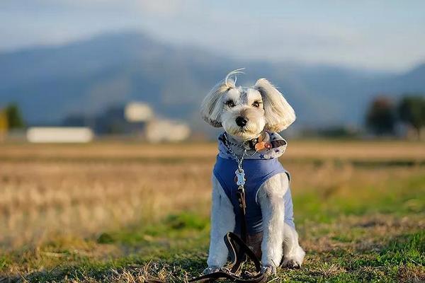 Một số ống kính có bokeh đặc biệt mà bạn nên biết 69 mot ong kinh co bokeh dac biet ma ban nen biet 9 1