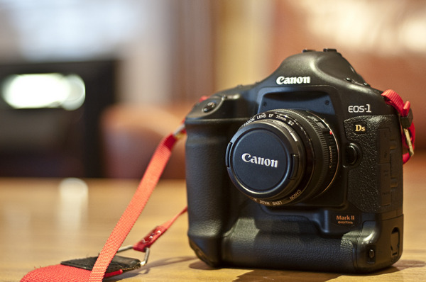 EOS-1Ds Mark II Ra mắt vào tháng 11, 2004. Được trang bị một cảm biến CMOS full-frame 16,7 megapixel, nó có thông số cao nhất trong số các máy ảnh DSLR có mặt trên thị trường lúc đó.
