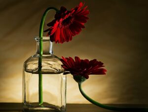 nhung y tuong chup anh tinh sang tao va khoi nguon cam hung 13