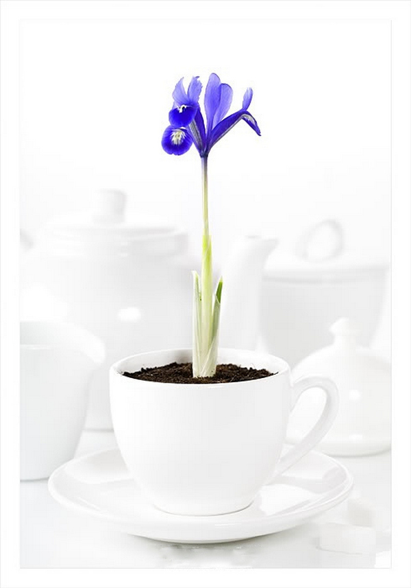 Những ý tưởng chụp ảnh tĩnh sáng tạo và khơi nguồn cảm hứng 18 nhung y tuong chup anh tinh sang tao va khoi nguon cam hung 2 1