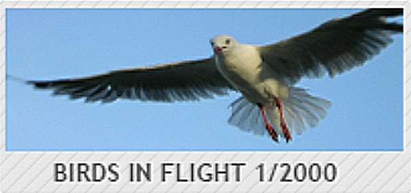 Tạo hiệu ứng ảnh từ việc điều khiển màn trập máy ảnh 22 tao hieu ung anh tu viec dieu khien man trap may anh 6 2