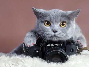 bi quyet giup nang cao tay nghe nhiep anh 2