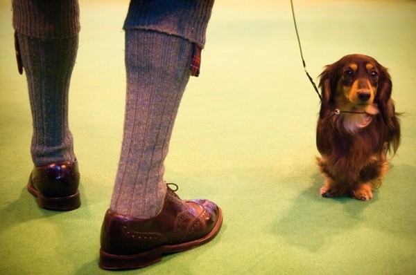 cac goc chup anh sang tao giup anh dep hon 9 1