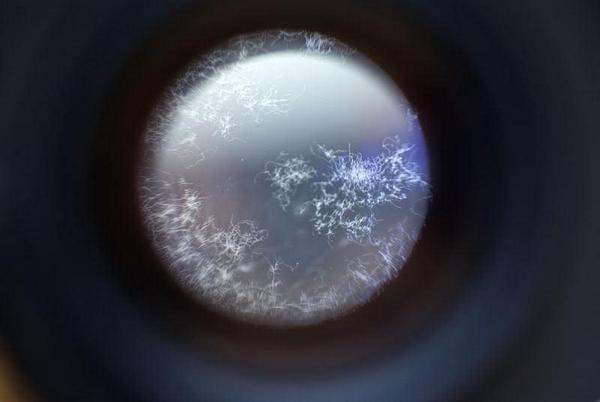 Cách kiểm tra máy ảnh cũ đã qua sử dụng để mua không bị hớ 5 cach kiem tra may anh cu da qua su dung de mua khong bi ho 1 1