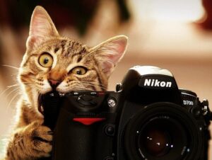 nguyen nhan khien ban chup anh khong dep 17