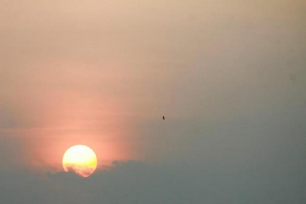 nguyen nhan khien ban chup anh khong dep 3 1