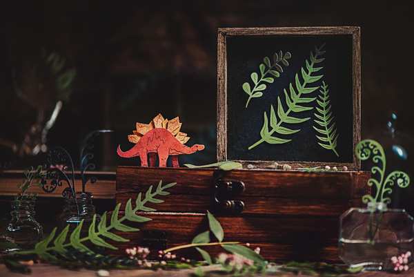 bi quyet chup anh tinh vat ao tung chao 17 2