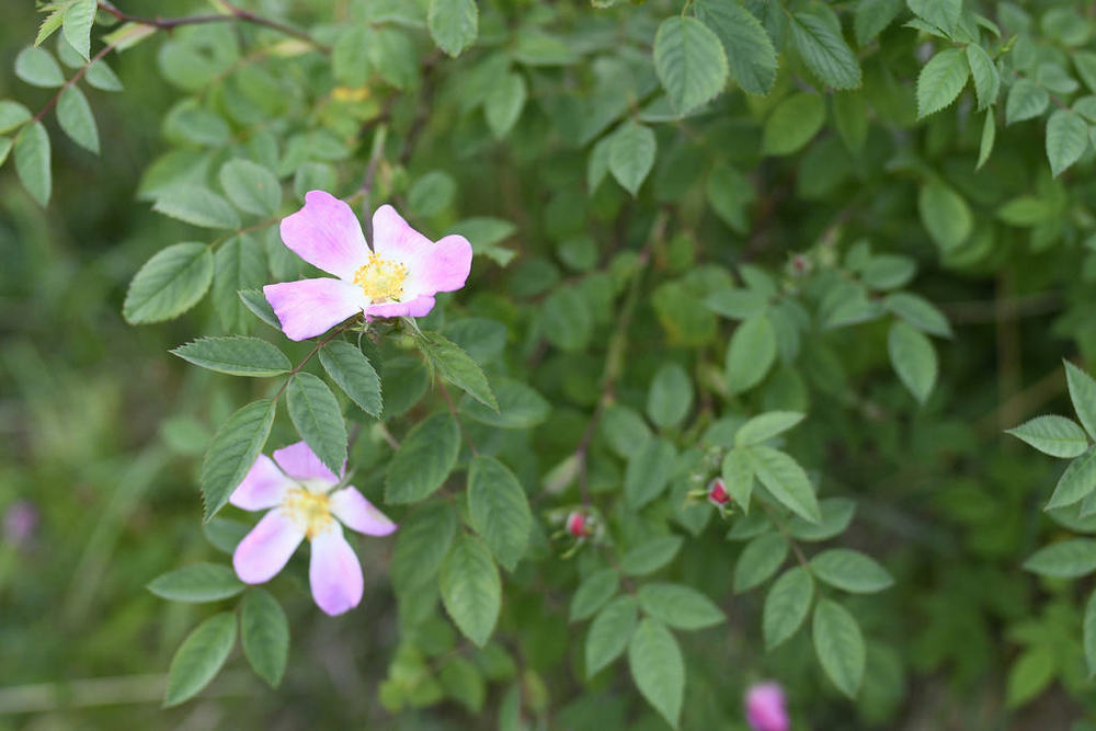 f/0 · ISO 1400 - 42mm (35mm)