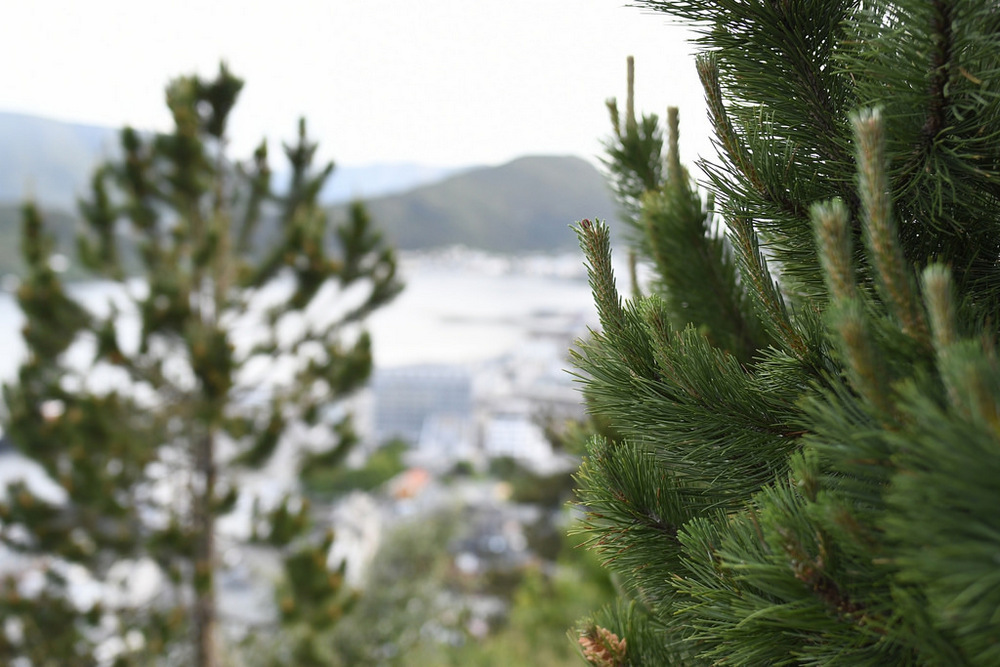 f/0 · ISO 900 - 42mm (35mm)