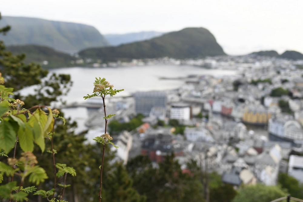 f/0 · ISO 500 - 42mm (35mm)