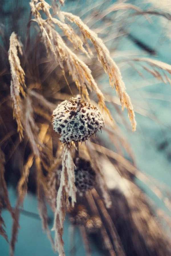 Meyer-Optik hồi sinh ống kính Lydith 30mm f/3.5 12 meyer optik hoi sinh ong kinh lydith 30mm f3 5 4 1