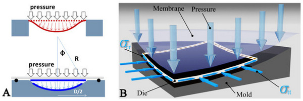 Microsoft chế tạo thành công camera sensor cong giúp camera giá rẻ chụp đẹp như Canon 1DS Mark III 6 microsoft che tao thanh cong camera sensor cong giup camera gia re chup dep nhu canon 1ds mark iii 1 3
