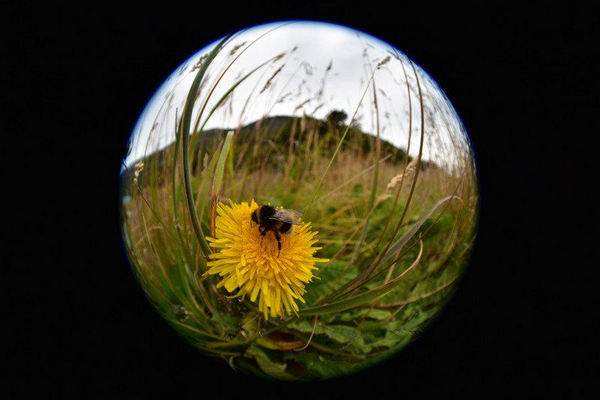 1/400s, f/4.5, 8mm. © Joshua Cripps