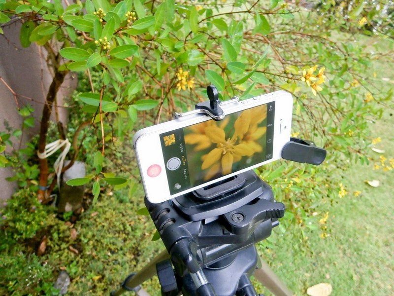 Hiện tại cũng đã có những giá đỡ tripod cho iPhone hoặc smartphone khác.