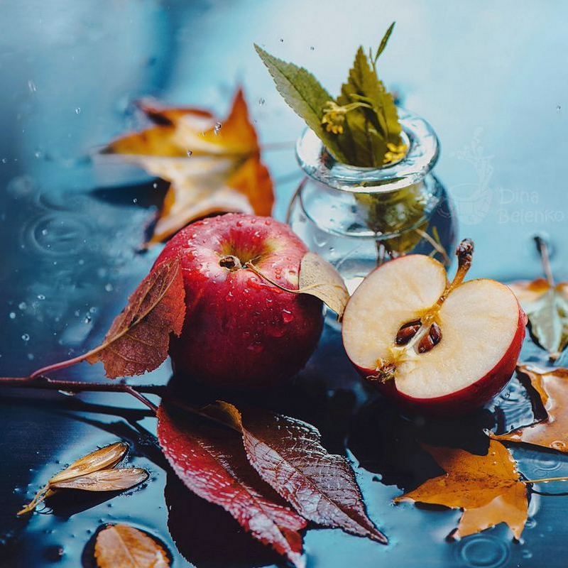 Bộ ảnh tĩnh vật mùa thu tuyệt đẹp của nữ nhiếp ảnh gia người Nga 21 Cô bật mí rằng, chỉ cần có ánh sáng và góc độ phù hợp sẽ cho ra đời những bức ảnh tuyệt đẹp.