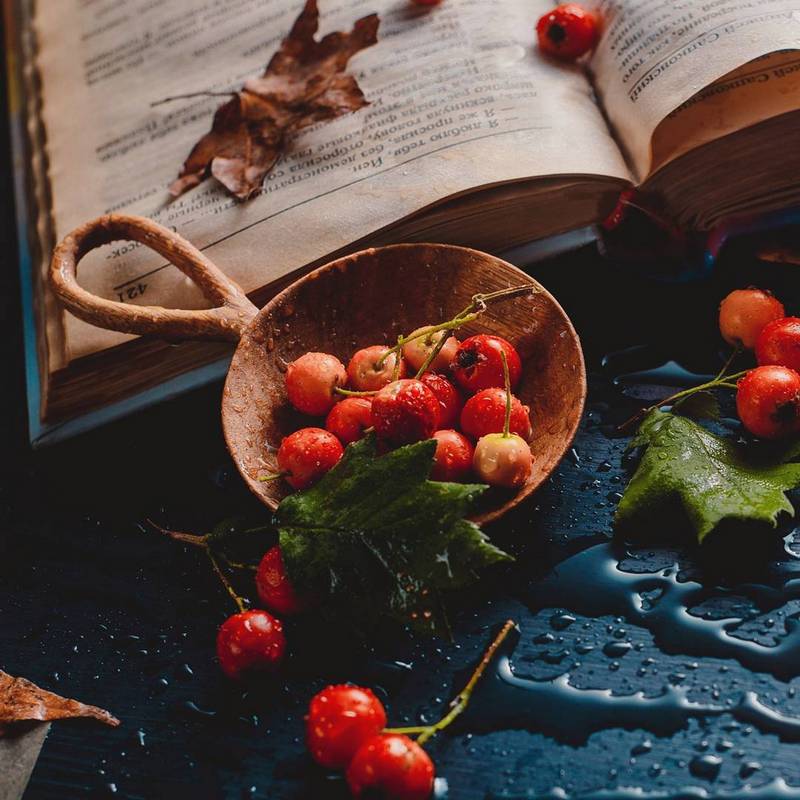 bo anh tinh vat mua thu tuyet dep cua nu nhiep anh gia nguoi nga 10 3