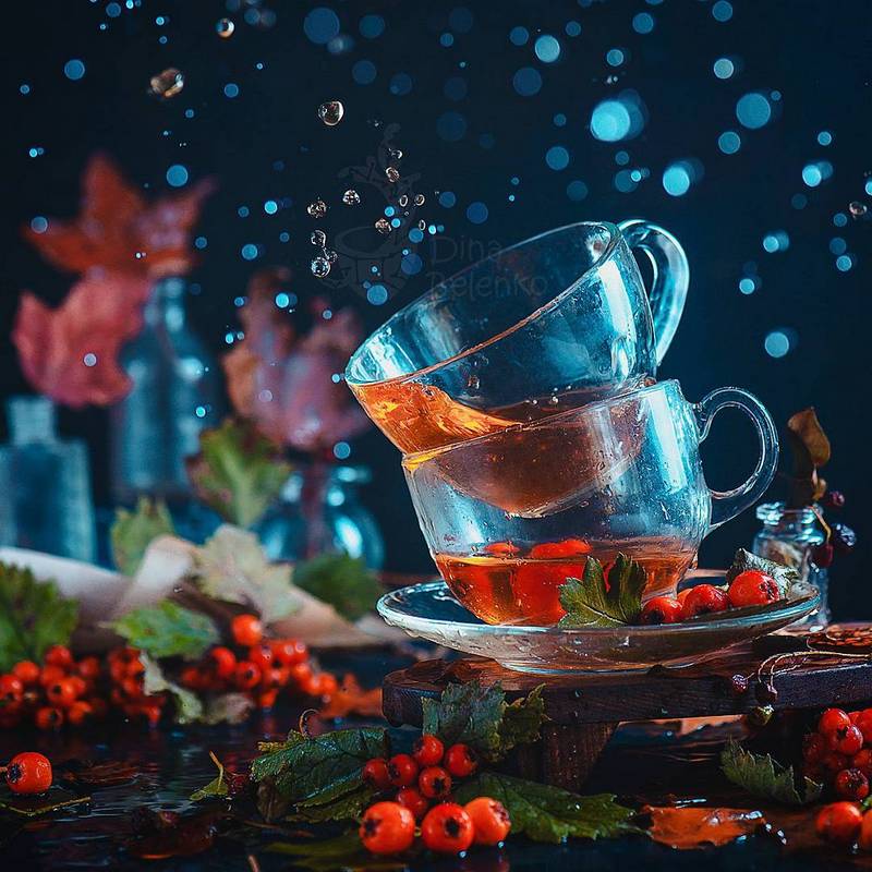 Bộ ảnh tĩnh vật mùa thu tuyệt đẹp của nữ nhiếp ảnh gia người Nga 16 bo anh tinh vat mua thu tuyet dep cua nu nhiep anh gia nguoi nga 7 1