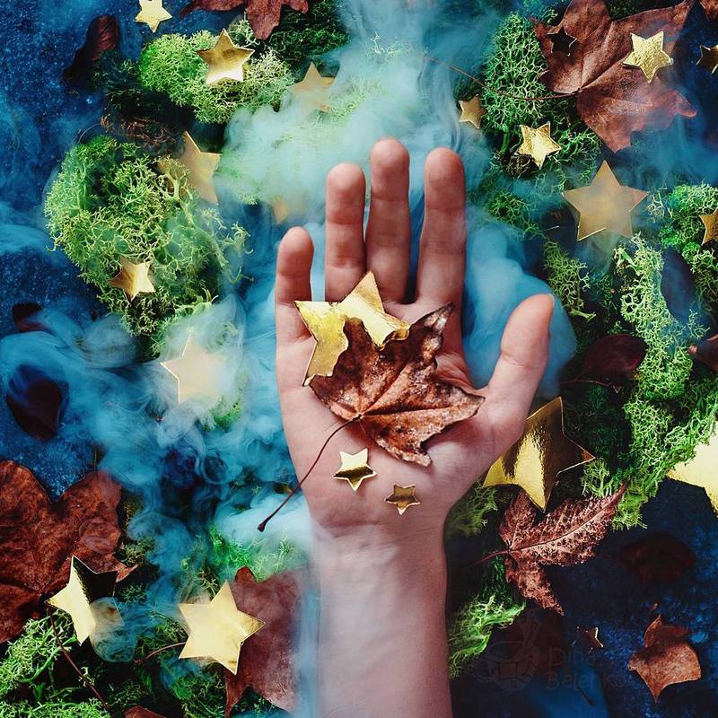 Bộ ảnh tĩnh vật mùa thu tuyệt đẹp của nữ nhiếp ảnh gia người Nga 14 Mùa thu cũng là khoảng thời gian tuyệt vời để cho cô thể hiện tài năng và sự sáng tạo của mình.