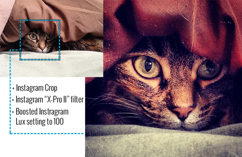 10 meo giup chup anh bang iphone tro nen pro hon 7 1