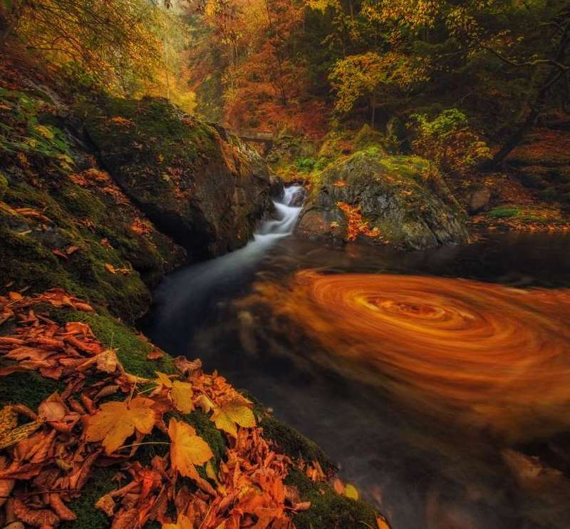 Khu rừng ở vùng núi Balkan, chụp vào mùa thu năm 2016.