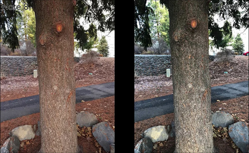 So nhanh ảnh chụp iPhone X và Galaxy Note 8 10 nhanh anh chup iphone x va galaxy note 8 2 4