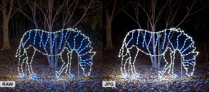 Những cách chụp ảnh đẹp mùa Giáng sinh 24 nhung cach chup anh dep mua giang sinh 11 1