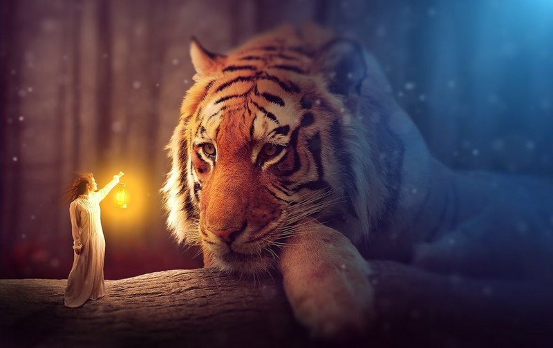 Nên sử dụng Photoshop hay Lightroom? 14 nen su dung photoshop hay lightroom 3 3